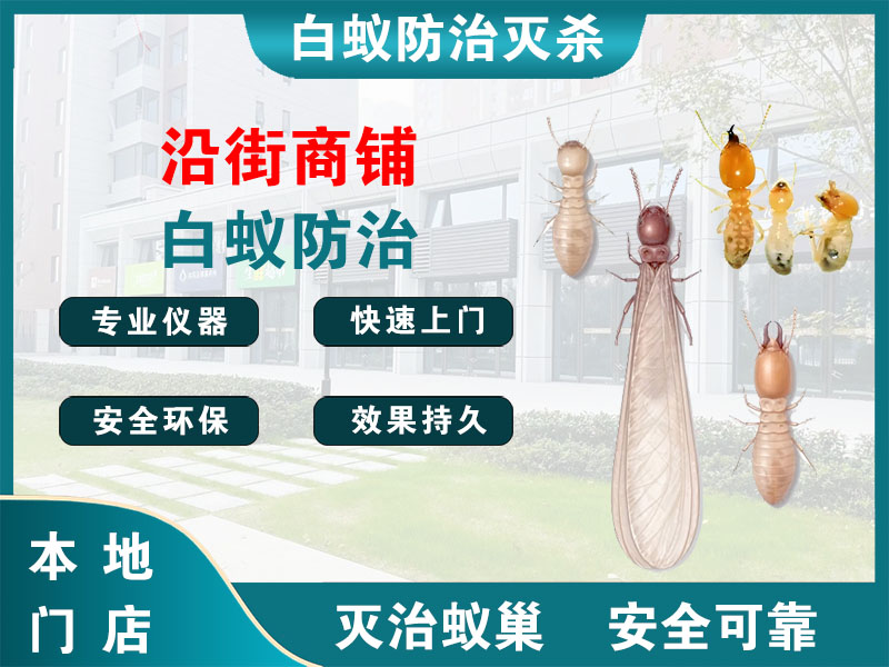 江山沿街商铺白蚁防治