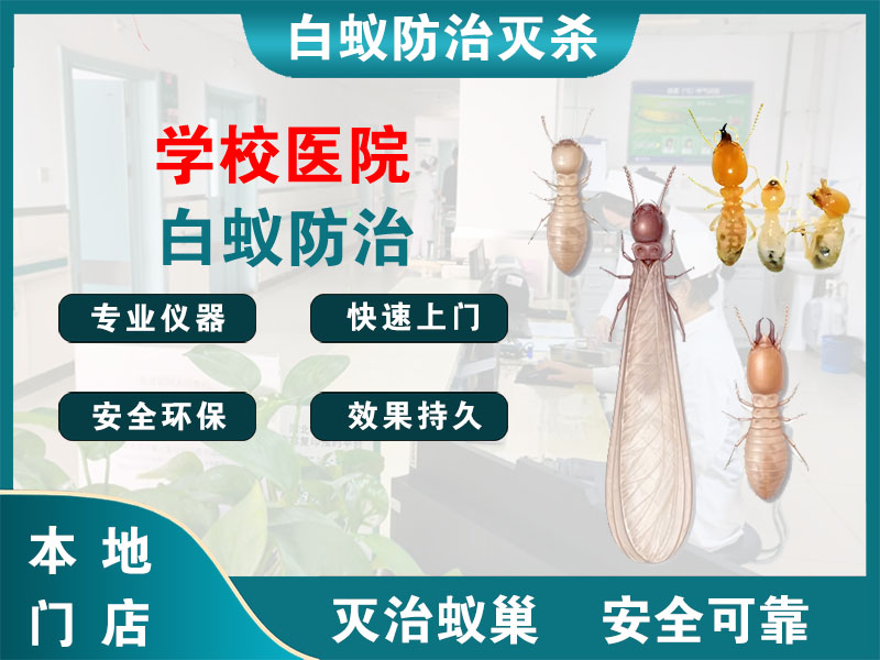 江山学校医院白蚁防治