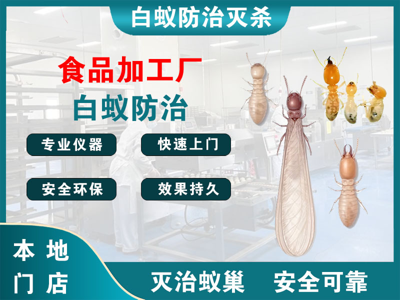 江山食品加工厂白蚁防治