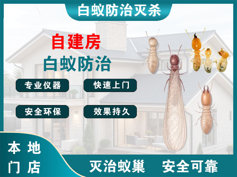 江山自建房白蚁防治