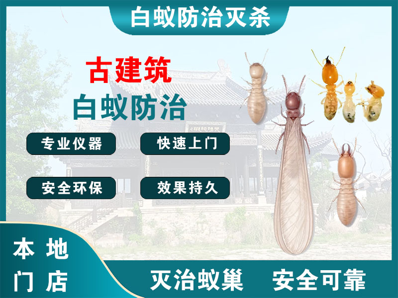 江山古建筑白蚁防治