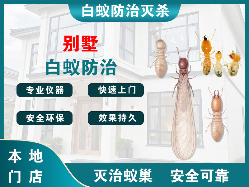 江山别墅白蚁防治