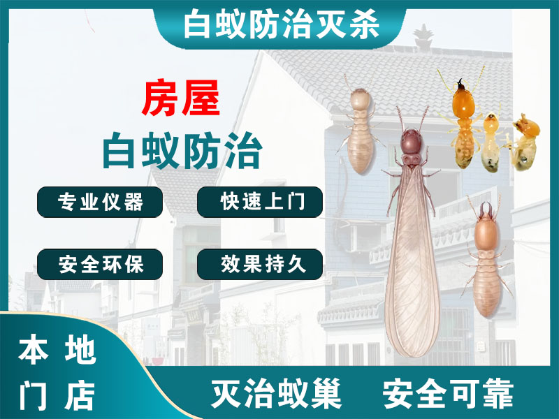 江山房屋白蚁防治